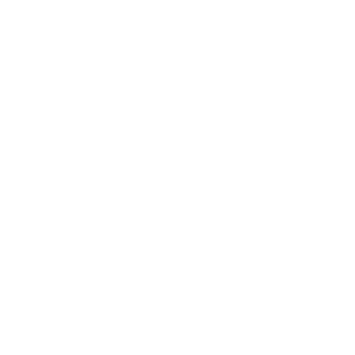 Northwest Iowa Pre-Winter Rally Logo - White Large